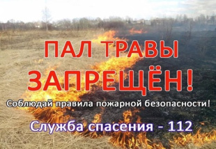 ПАЛ ТРАВЫ ОПАСЕН ДЛЯ ЧЕЛОВЕКА И ПРИРОДЫ! ПАЛ ТРАВЫ ОПАСЕН ДЛЯ ЧЕЛОВЕКА И ПРИРОДЫ!.